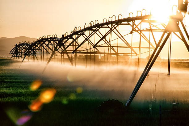 Irrigation par pivot en Afrique