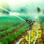 ASFA | Irrigation par Aspersion