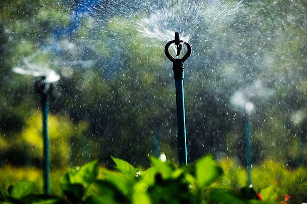 ASFA | Irrigation par aspersion